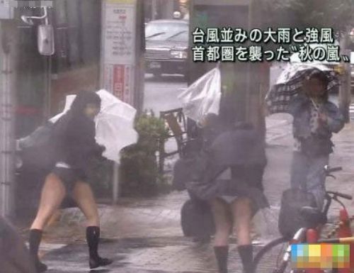 【画像】TVの台風速報でJK達のパンチラが見えちゃってる件www 32枚 No.19