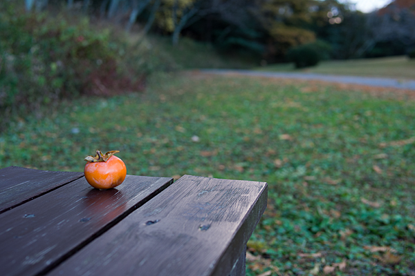 ベンチに柿